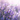 Lavender sprig bar necklace displayed on hang tag, showing design and packaging on a lavender background