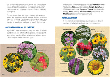 Pollinators & Native Plants for Kids