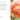 Peonies: Beautiful Varieties for Home & Garden