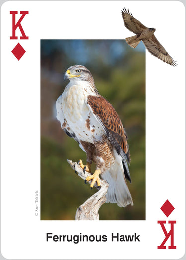 Raptors Playing Cards