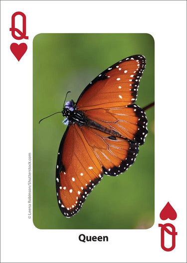 Bees & Butterflies Playing Cards