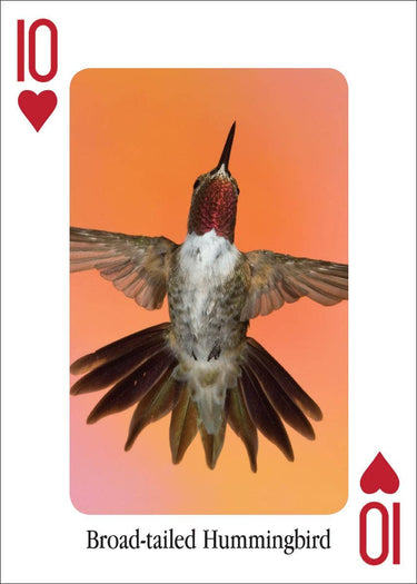 Hummingbirds Playing Cards