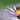 Our Love of Bees