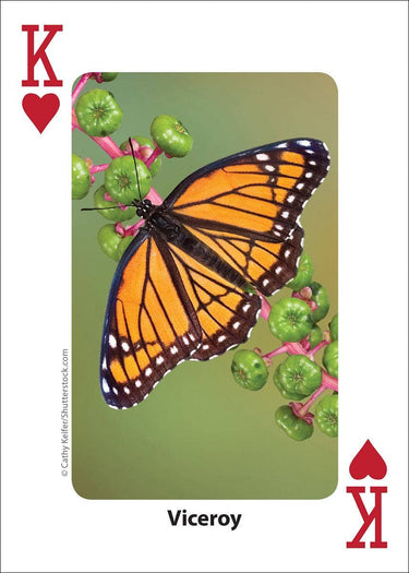 Bees & Butterflies Playing Cards