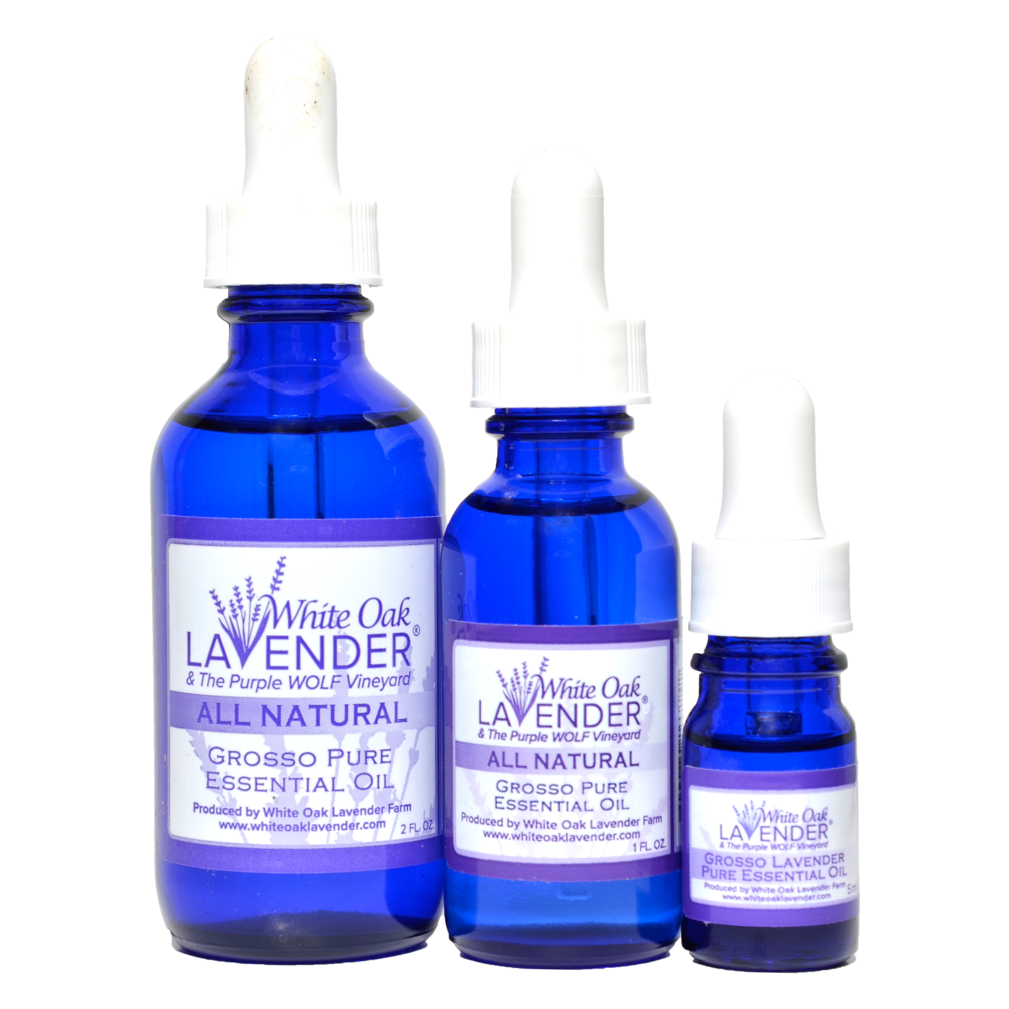 lavender oil for plantar fasciitis Grosso Lavender Essential Oil